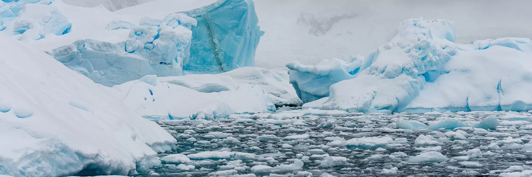  Highlights of Frozen Continent
