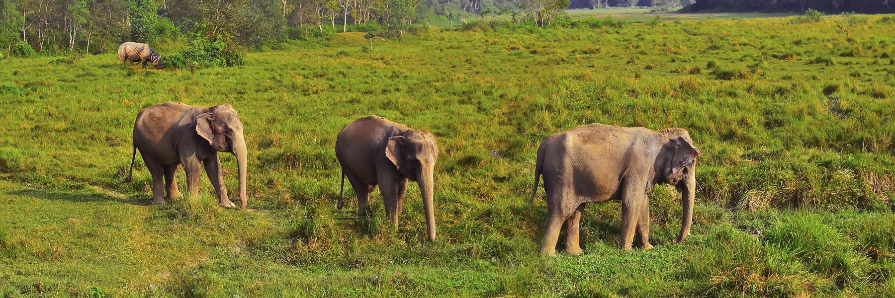  Classic Nepal with Wildlife