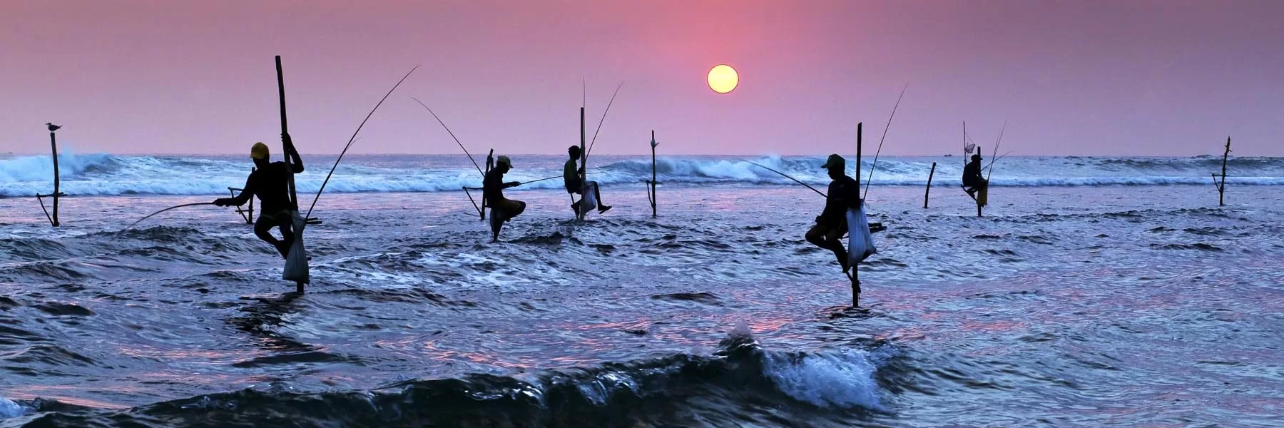 Galle