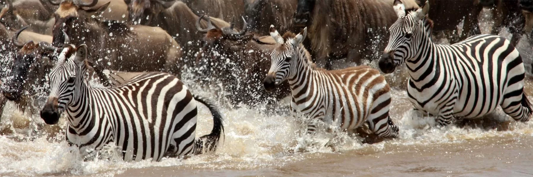 Grumeti national park