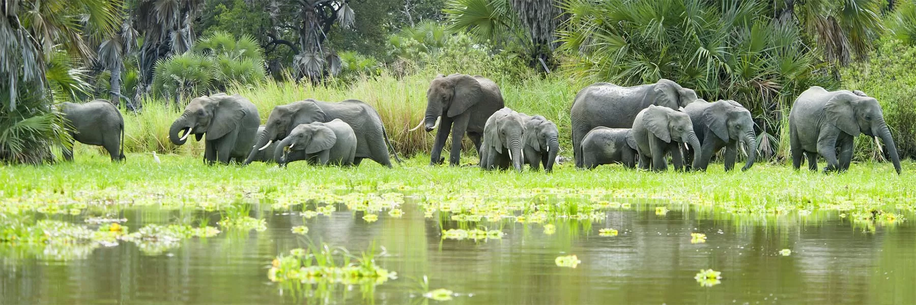 Selous wildlife reserve