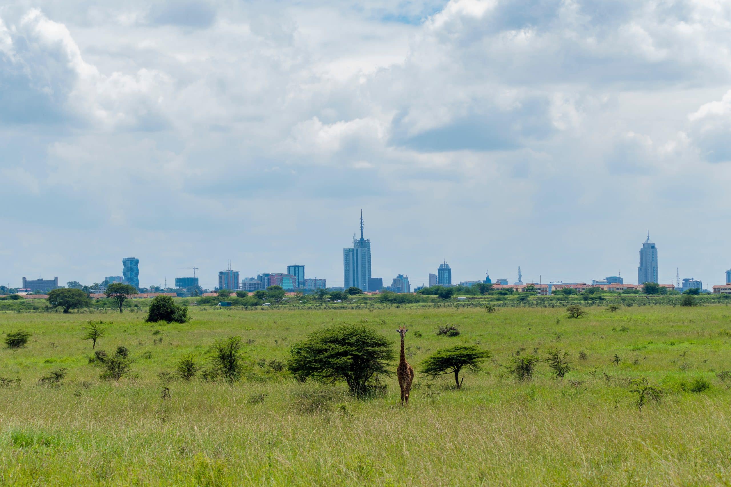 Nairobi, Nairobi Vacation Packages