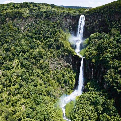 Aberdare National Park tour
