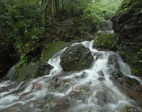  Western Ghats Road Trip tour