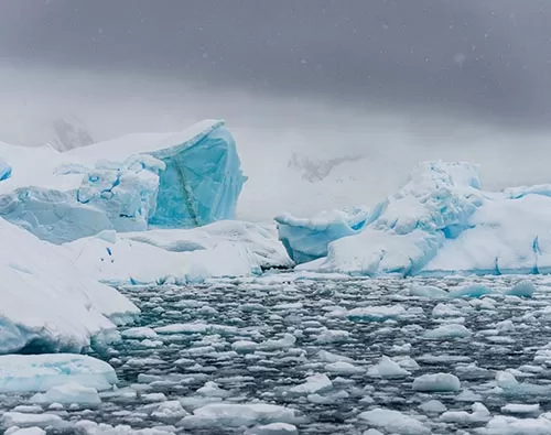  Highlights of Frozen Continent tour