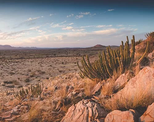 Kgalagadi Transfrontier Park tour