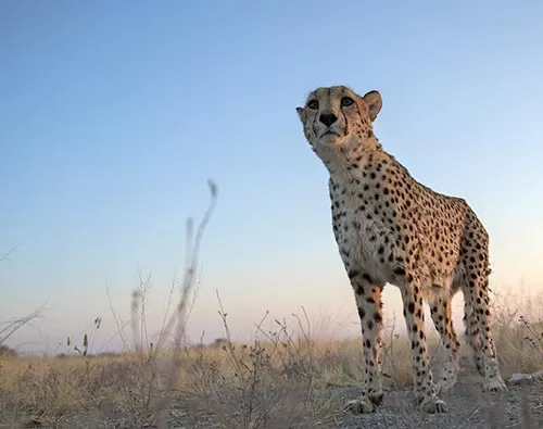  Discovery of Namibia tour