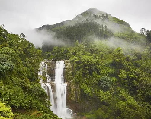 Nuwara Eliya tour