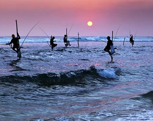 Galle tour