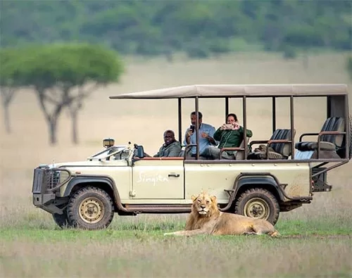 Grumeti national park safari