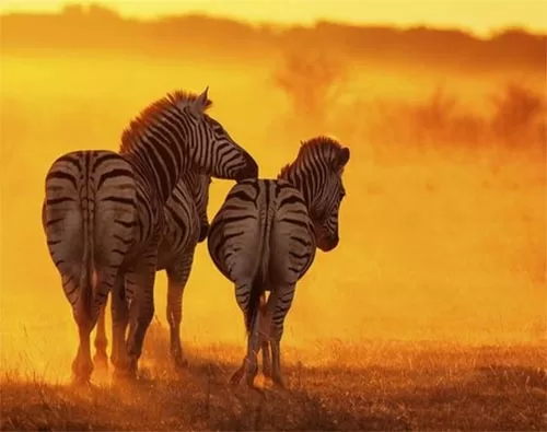 Zambezi national park
