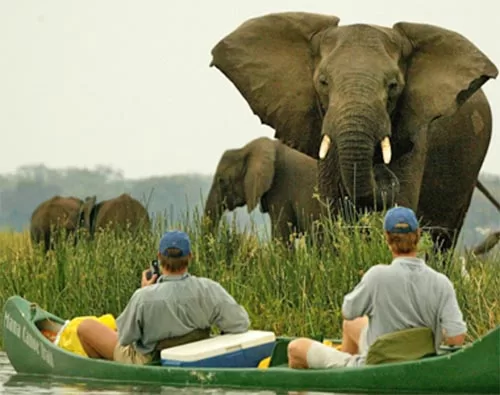 Mana Pools National Park