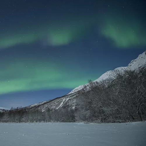 Abisko tour