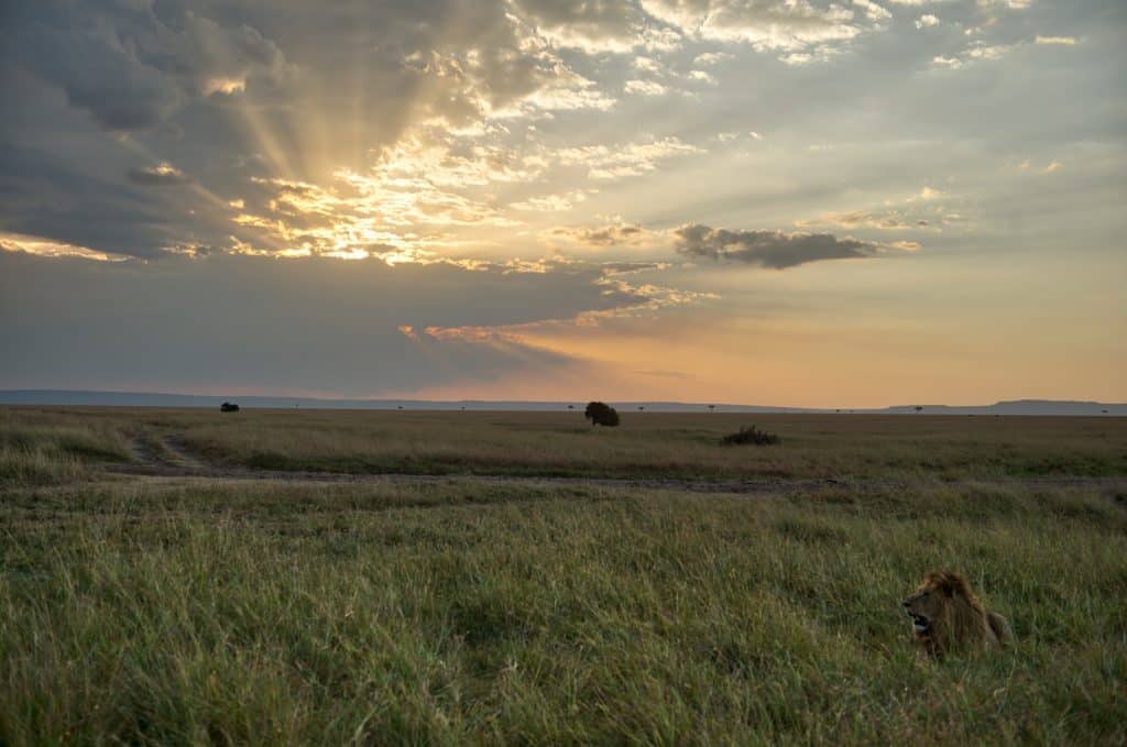 sunset in kenya during safari