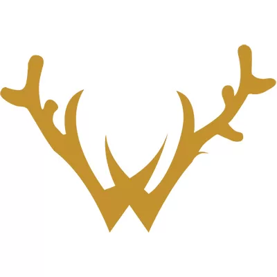 Wild Voyager Team