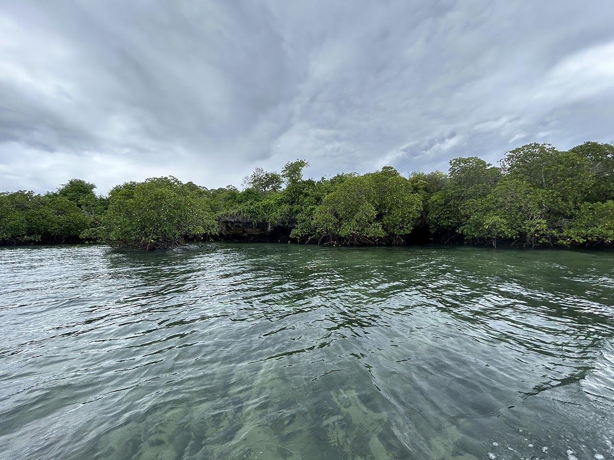 Diani Beach, Kenya Tour Packages