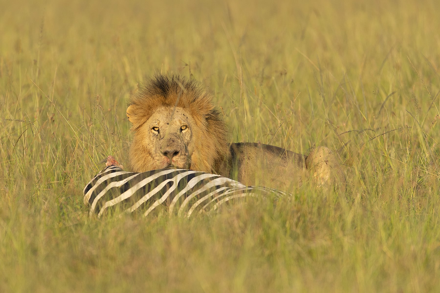 Explore Kenya Tour Packages