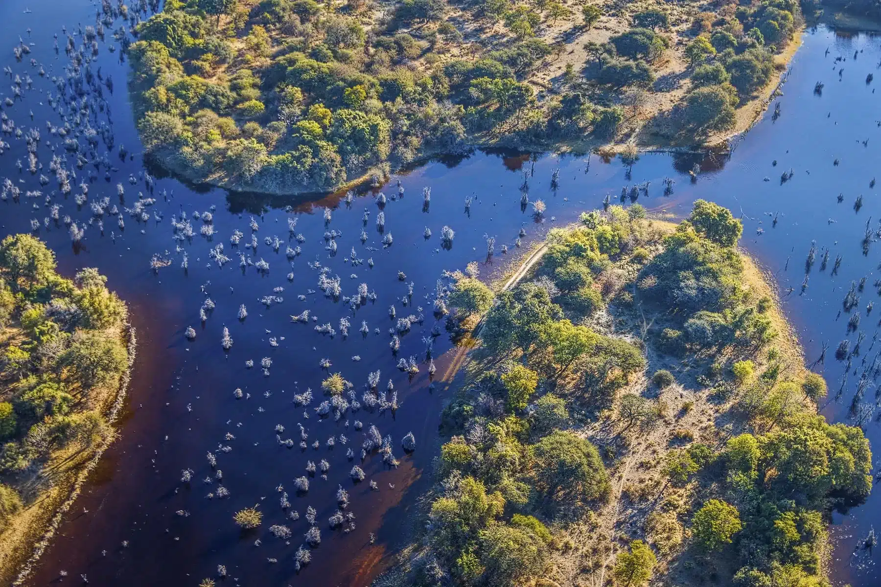 Immerse yourself in the stunning scenery of Botswana